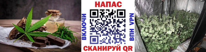 Cannafood конопля  Бологое 