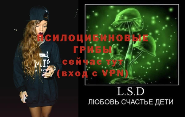 дмт Беломорск