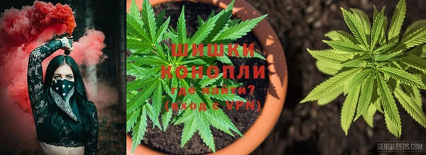 кокс Михайлов