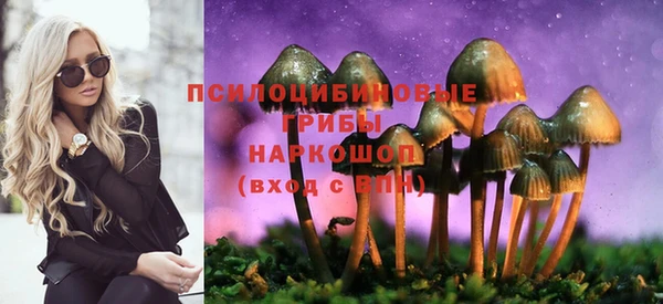 стаф Михайловка