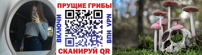 цены наркотик  Бологое  Галлюциногенные грибы Psilocybine cubensis 