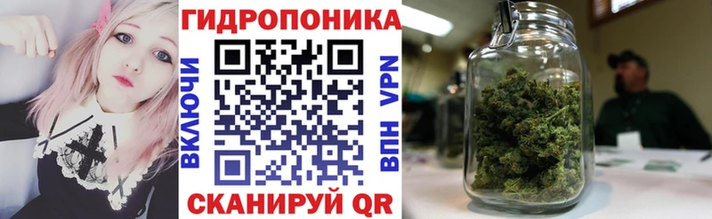 Конопля сатива  наркота  Бологое 